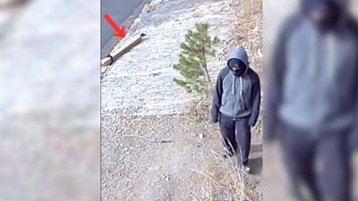 Man, allegedly kills dog at Truckee home