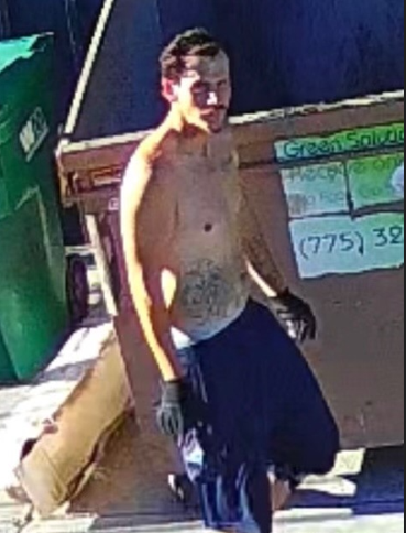 attempted auto theft suspect sparks.PNG