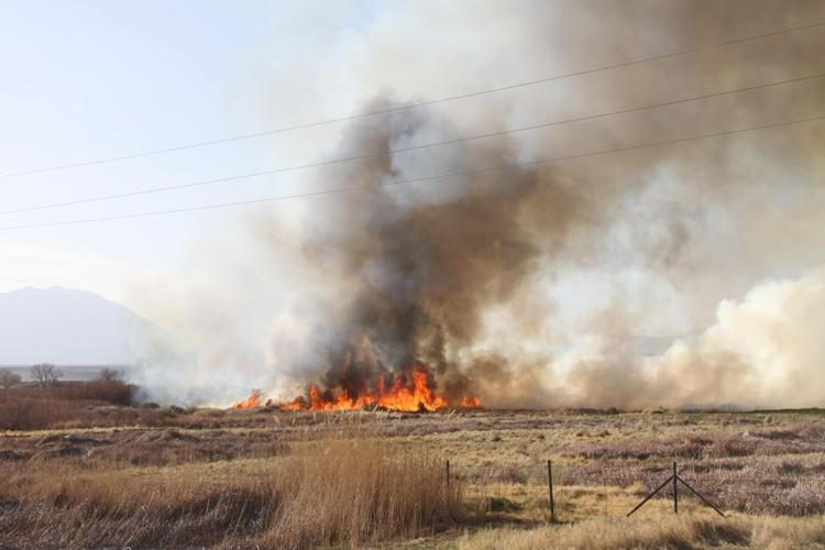 Inyo County wildfire 7.jpg