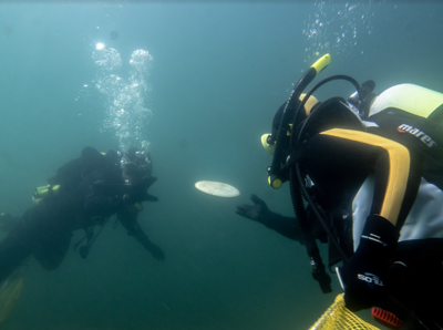 Clean up the lake donner.PNG