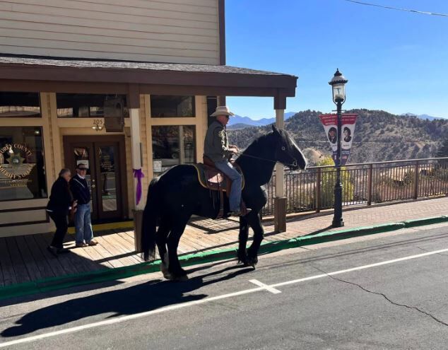 Storey County Sheriff's Office Mourns Loss of Police Horse Angus | News ...
