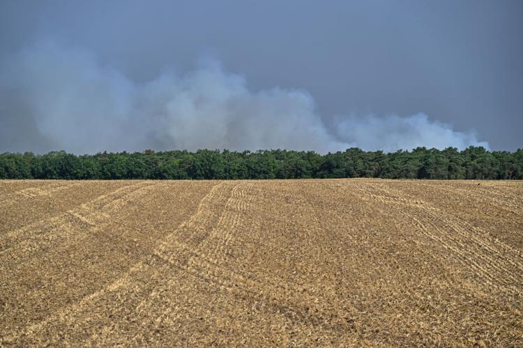 France Wildfires