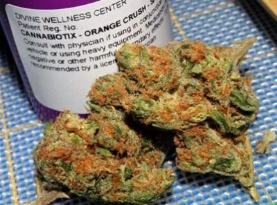 GOP Senator Says President Trump Vows to Protect Marijuana Industry