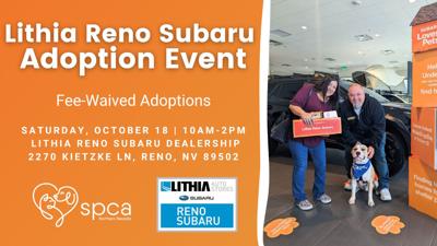 SPCA-Lithia Adoption Event