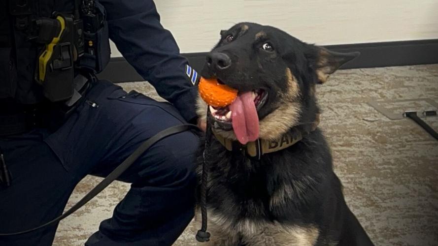 K-9 Officer BAK