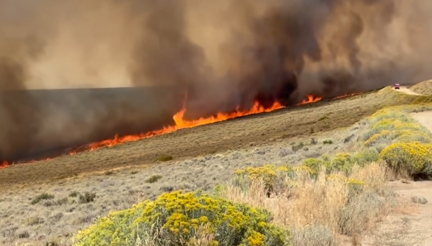Hawk Fire