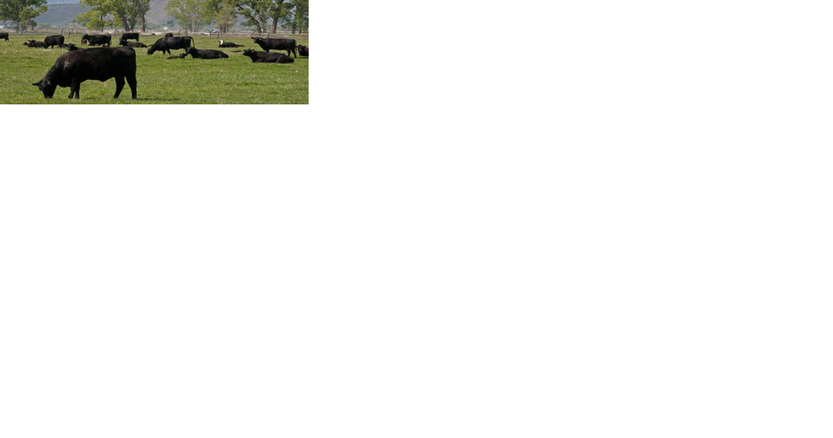 Farm to Fork Certification Program provides information on livestock production and processing - Vimarsana News