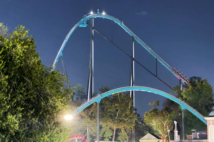 Roller Coaster Death