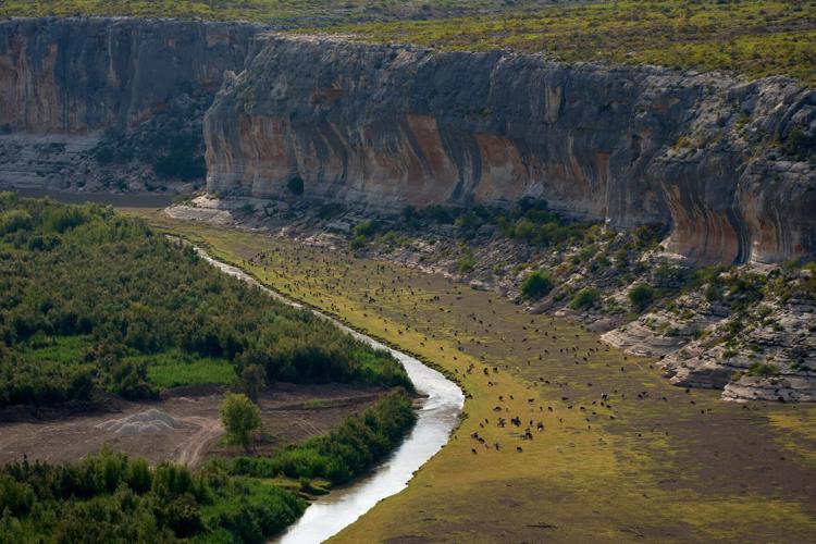 Border Wall Landowners