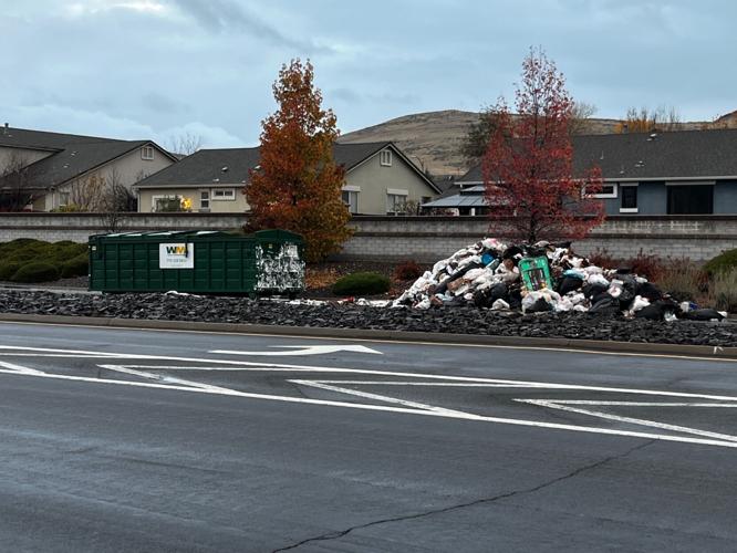 Sparks Trash Fire.jpg