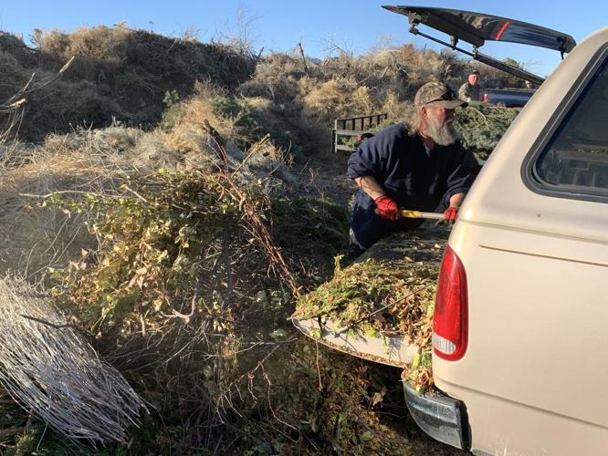 Truckee Meadows collecting green waste this weekend