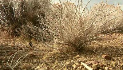 Drought Monitor Slightly Worse