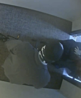 Carson City burglary suspect