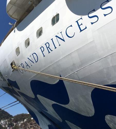 Family Sues Princess Cruises Over COVID-19 Death