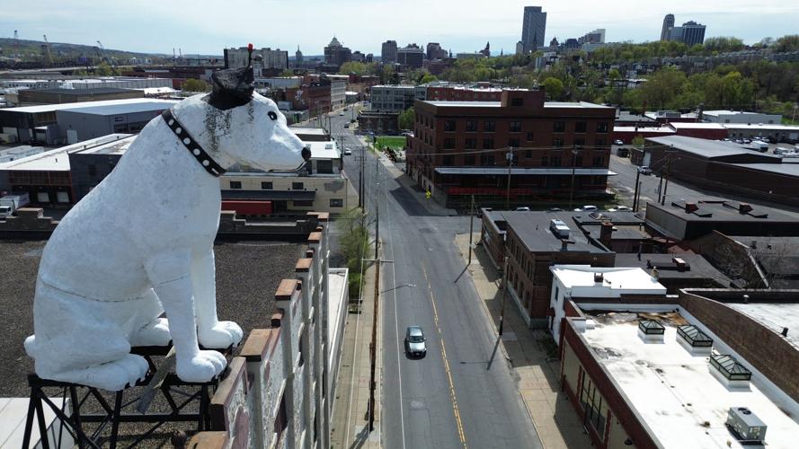 Giant Dog Statue
