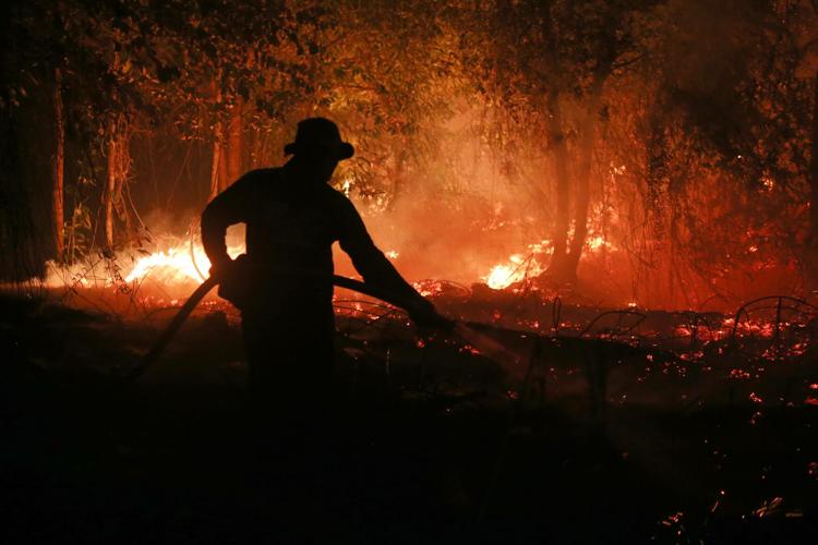 Climate Heat Deaths El Nino