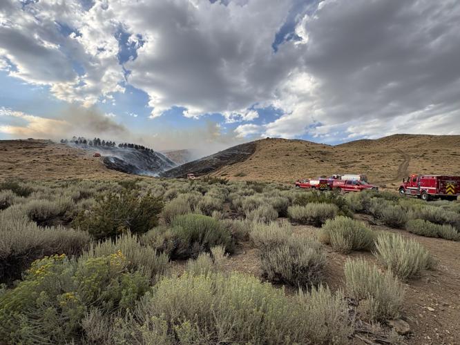 Peavine Fire 3.jpeg