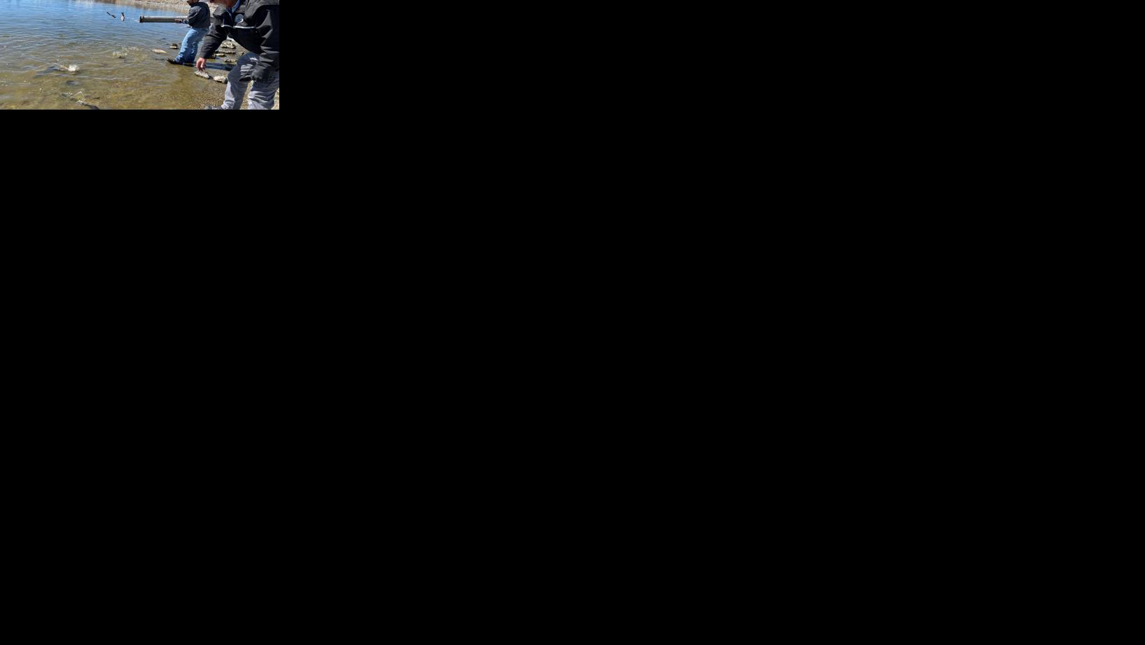 Fish Stocking at Sparks Marina