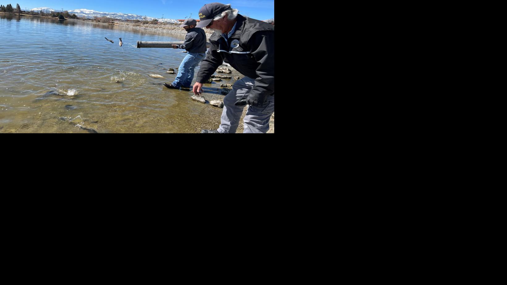 Fish Stocking at Sparks Marina