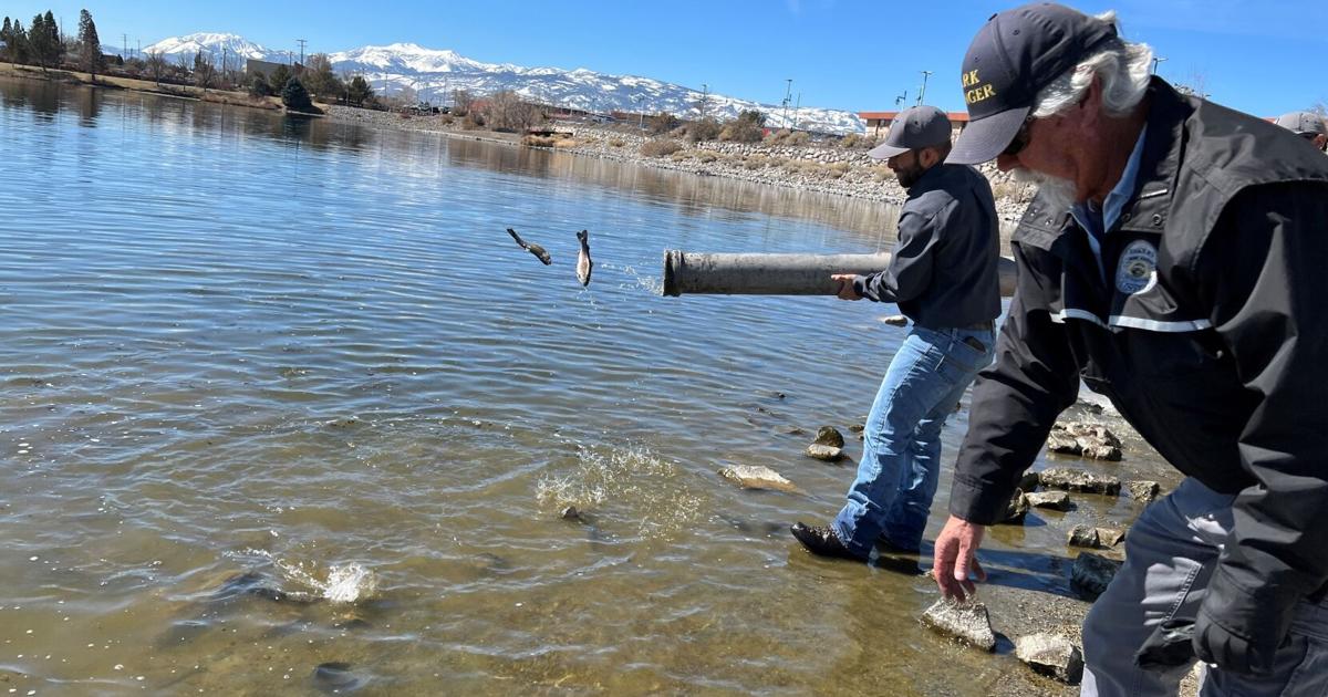 NDOW to stock Sparks Marina with 3,000 brown trout next week | News | 2news.com ndow-to-stock-sparks-marina-with-3-000-brown-trout-next-week-news-2news-com