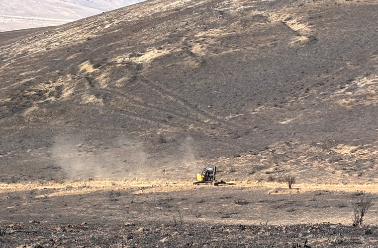 Bull Fire 10-9