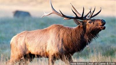Plan to Expand Hunting, Fishing in Wildlife Refuges Revealed