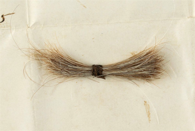 Lock of Abraham Lincoln's Hair Sells for More Than $81,000