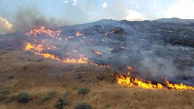 Costs to Fight This Week's Wildfires Top $1 Million