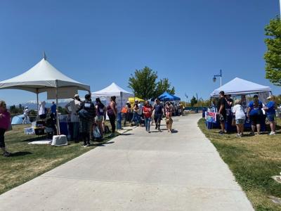 Out of the Darkness Walk