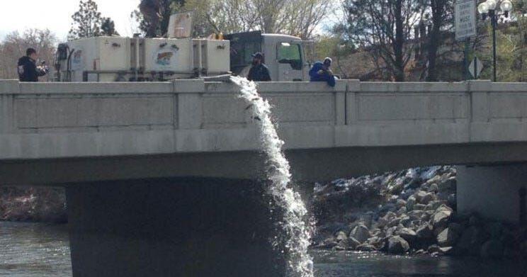 NDOW Begins Stocking Truckee River With Rainbow Trout 2news com