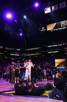 Mercury Taurasi Basketball