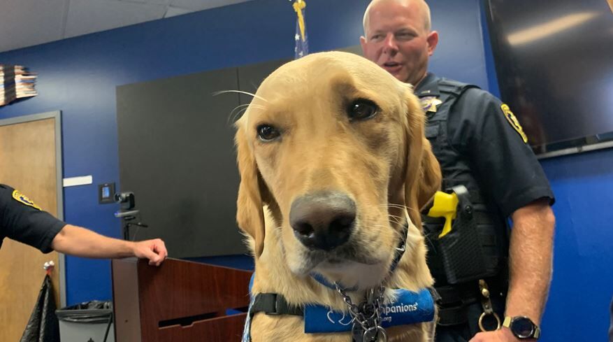 Reno Police Introduce Newest Member of Team, Winter | News | 2news.com