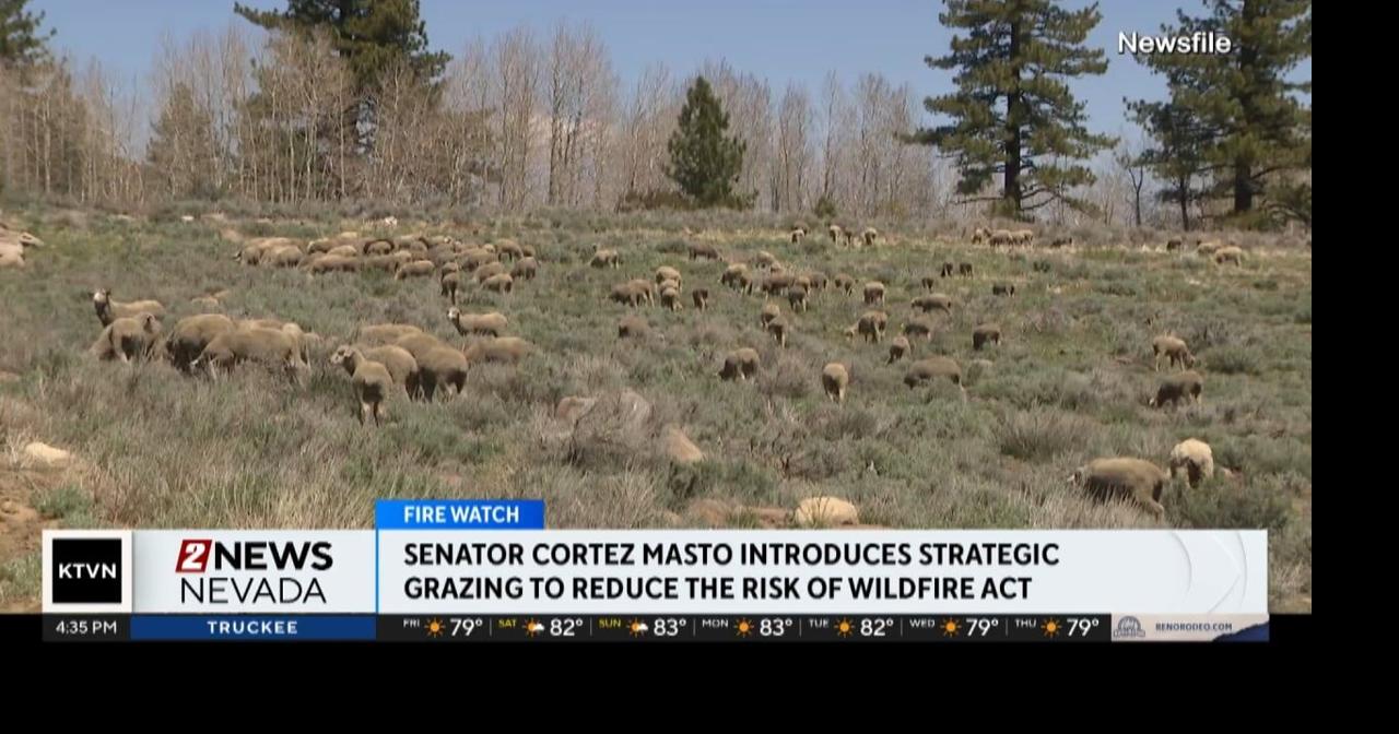 Senator Cortez Masto introduces Strategic Grazing to Reduce Risk of ...