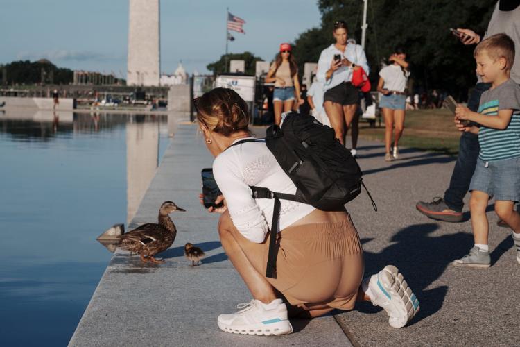 Lincoln Monument Reflecting Pool