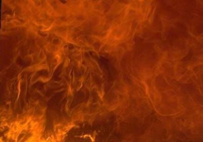 Crews Respond to Brush Fire in Silver Springs