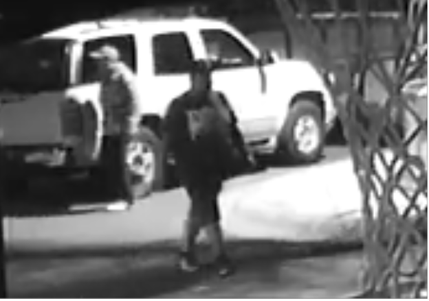 carson city vehicle burgalry 4.PNG