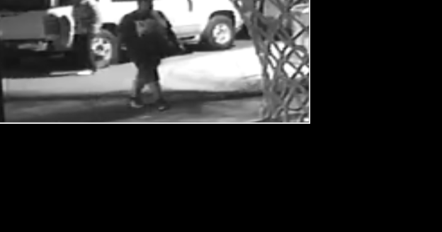 Carson City Sheriff's seek vehicle burglary subjects - Vimarsana News