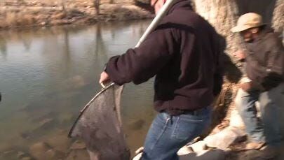 Truckee River Stocked With Trout