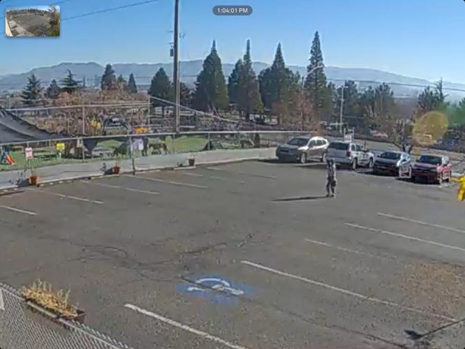 Missing 12 year old update.jpg