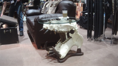 Products Made of Threatened African Wildlife Sold at Nevada Expo