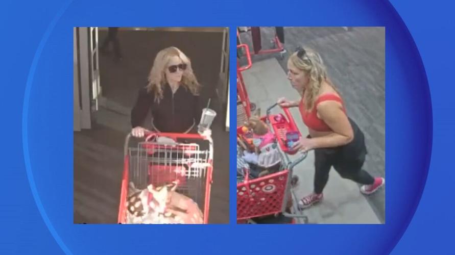 Target Larceny Security Cam