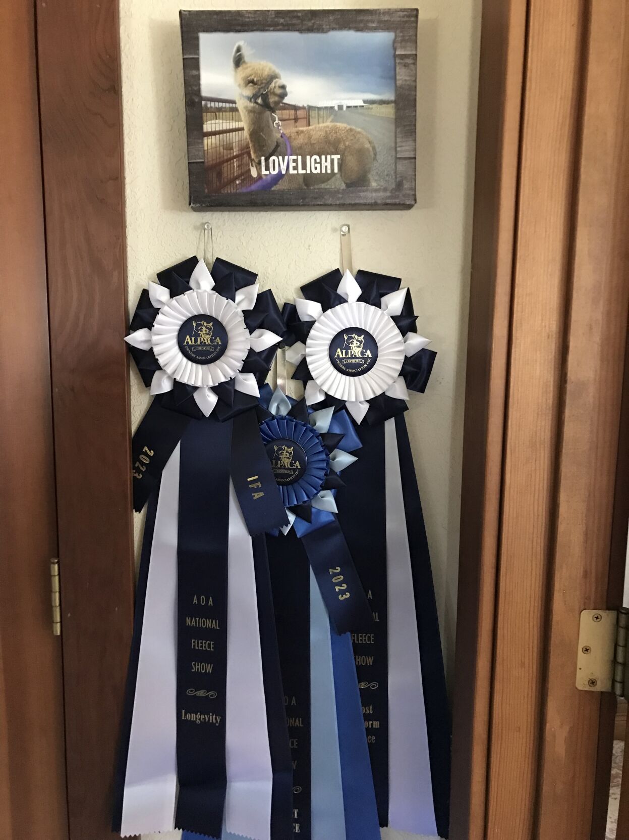 Lovelight Champion Ribbons