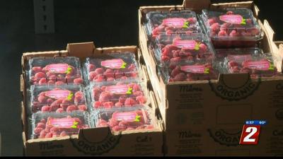 Food Help For The Holiday Season