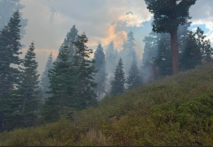 Hunter Fire Big 2.JPG