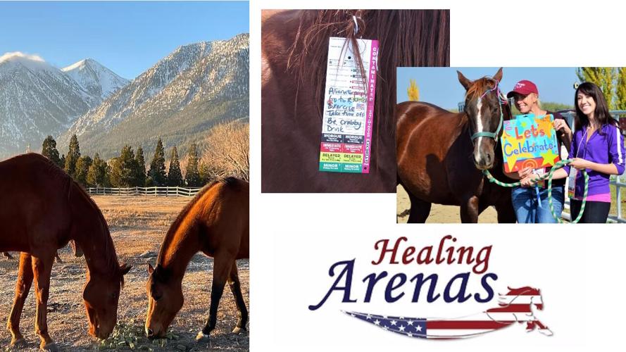 Healing Arenas .jpg