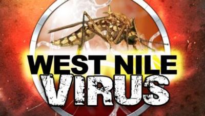 First West Nile Positive Mosquitoes Found in Southern Nevada