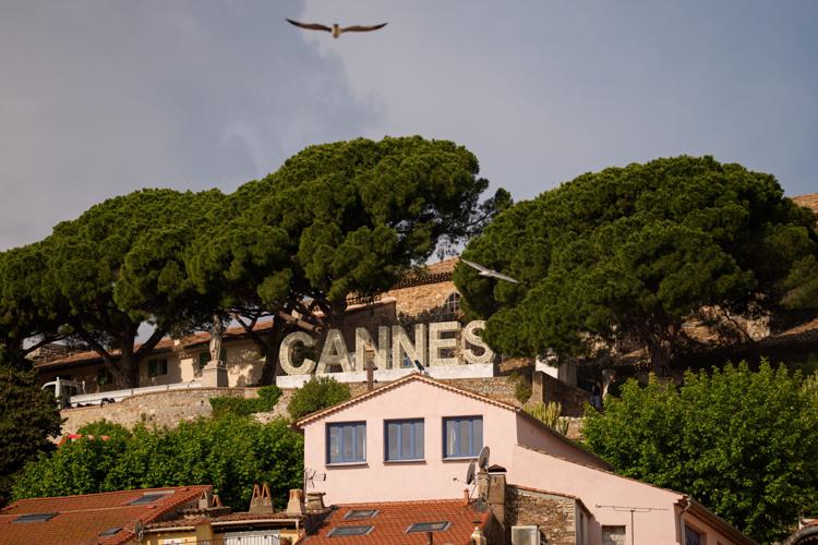 France Cannes 2026