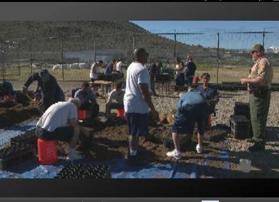 Saving Nevada's Sage-Grouse, with Inmate Volunteers