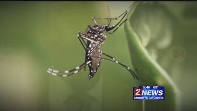 White House to Transfer Ebola Funds to Combat Zika Virus