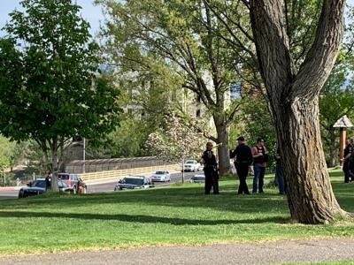 RDP Investigating Incident at Whitaker Park